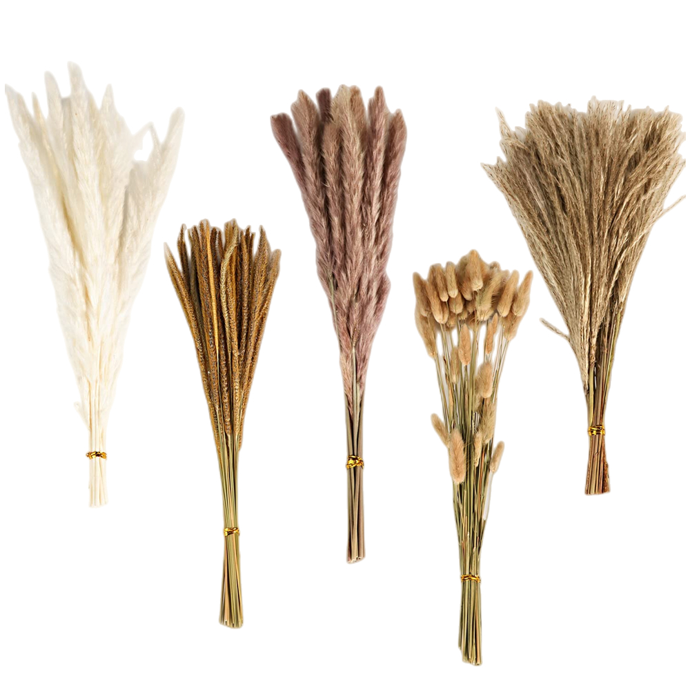Dried Flower Bulk - Buket Bunga Kering Campuran Vintage Musim