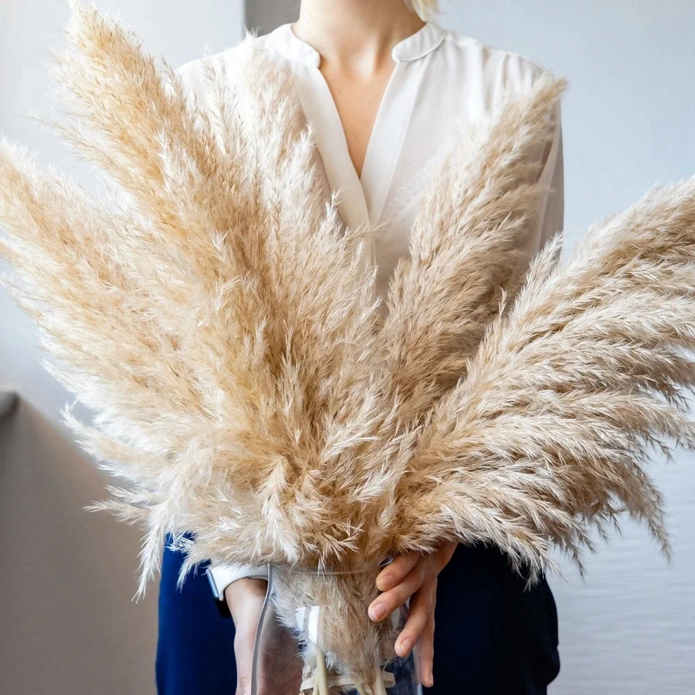 Dried Flower Bulk - Rumput Pampas besar berbulu 120cm-130cm, buket