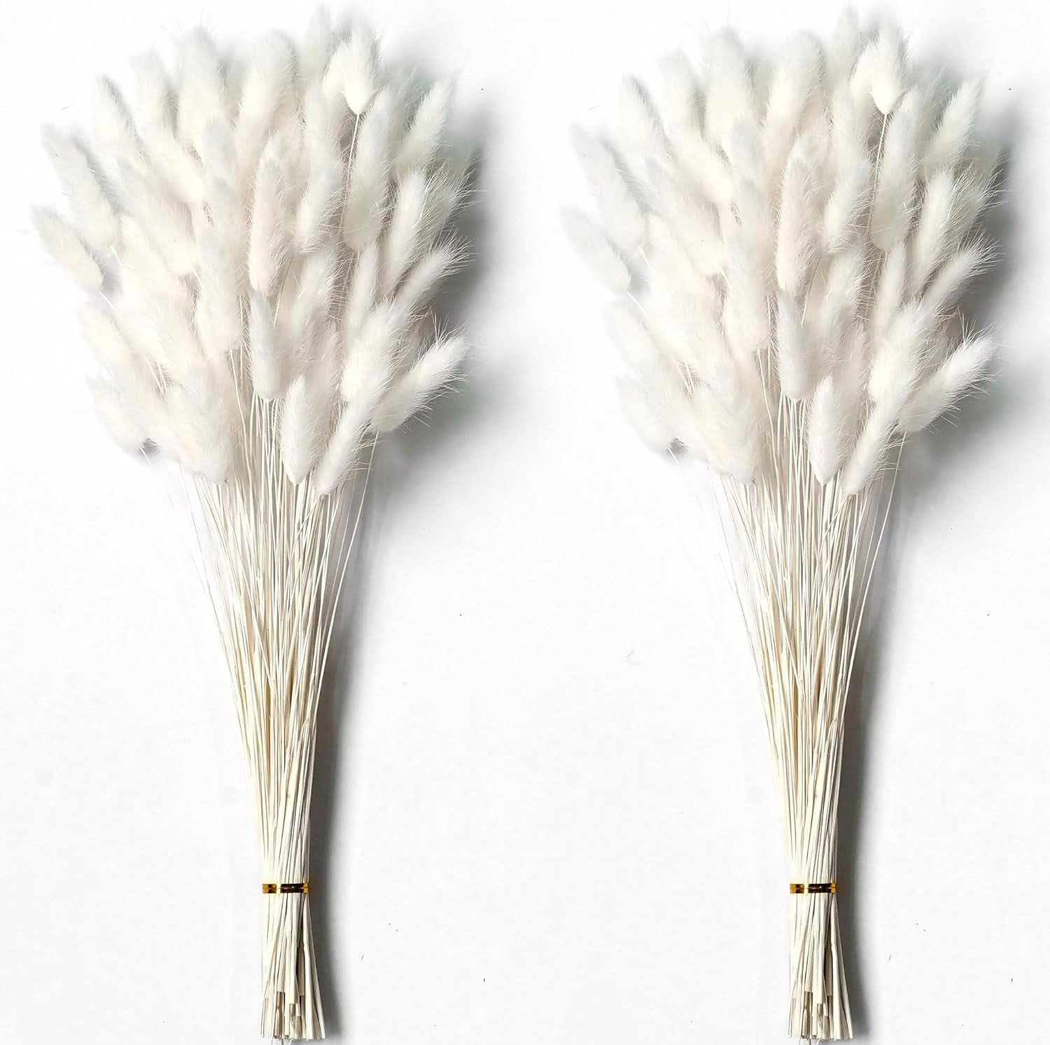 Dried Flower Bulk - 120 Buah Dekorasi Rumput Pampas Kering