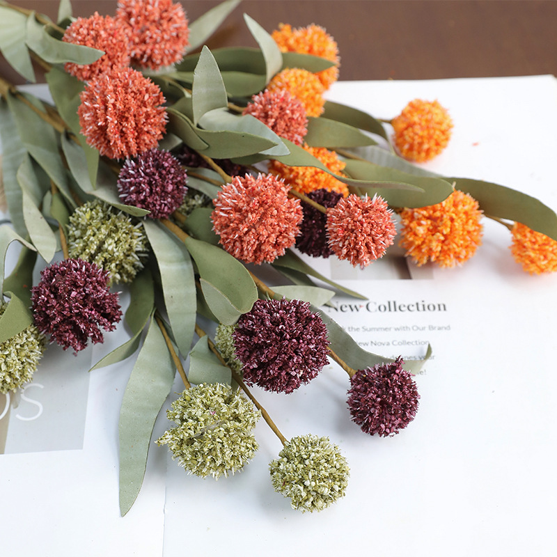 Bunga Daisy Kering 42cm, Bunga - Dried Flower Bulk ulasan dan harga