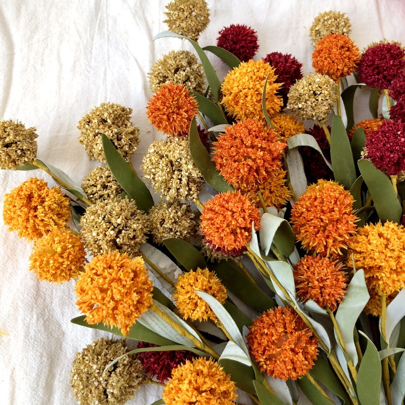 Bunga Daisy Kering 42cm, Bunga - Dried Flower Bulk ulasan dan harga
